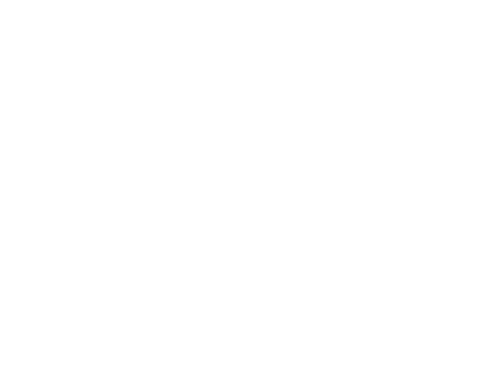 Project Logo